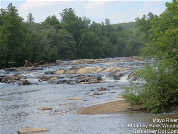 Mayo River 2 Woods Family History