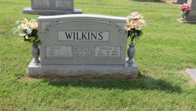 Henry Jackson Wilkins