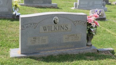 Willie J Wilkins